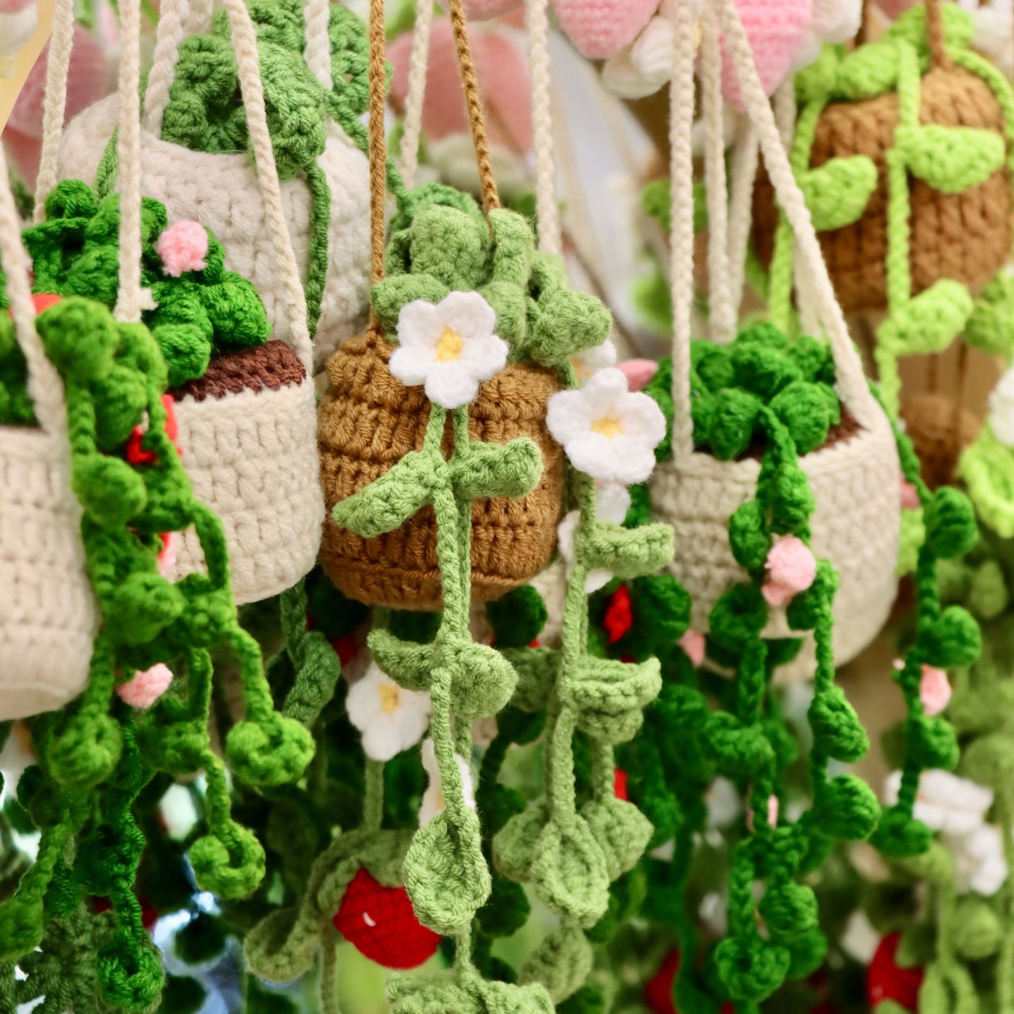 Assorted Crocheted Plants