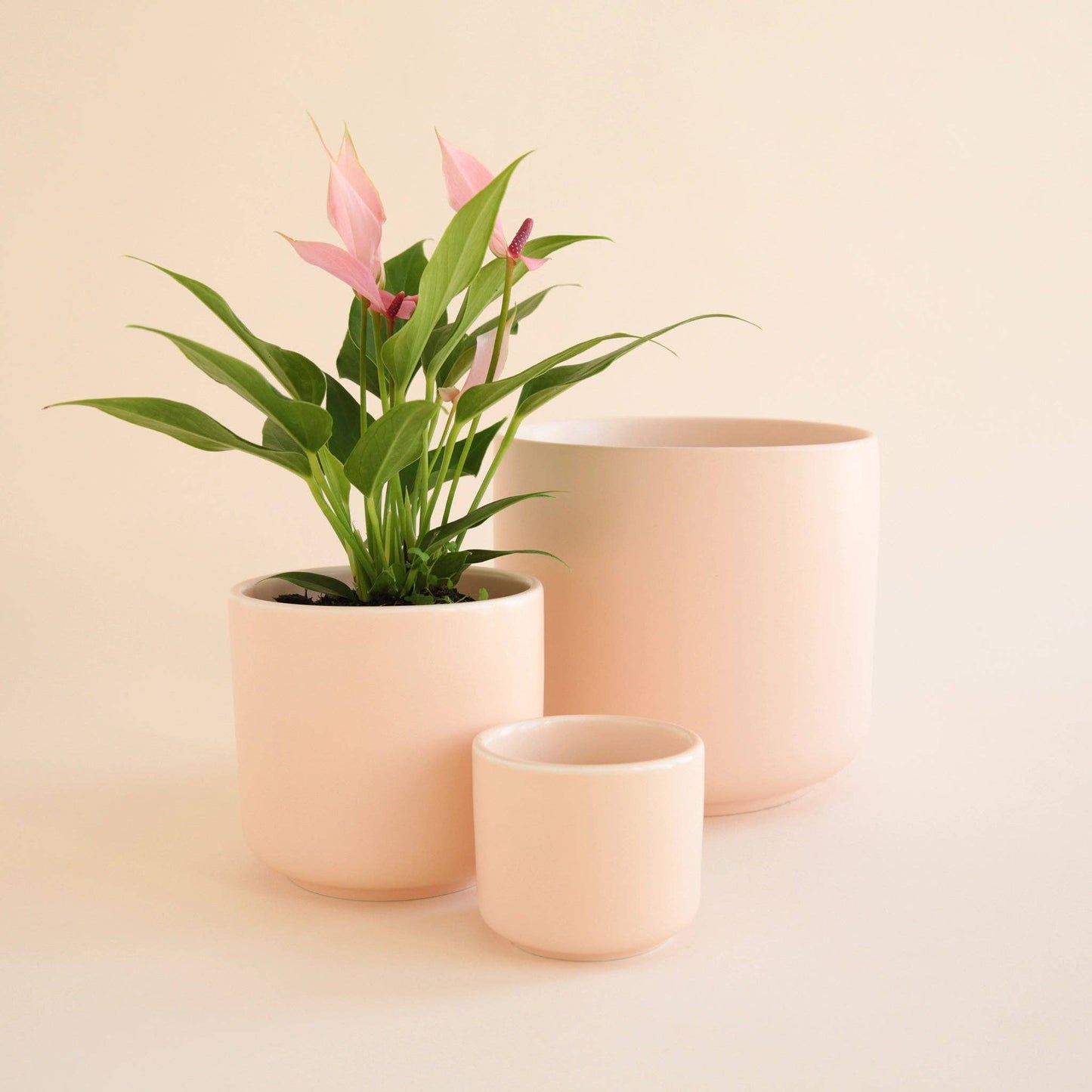 Charlie Pot