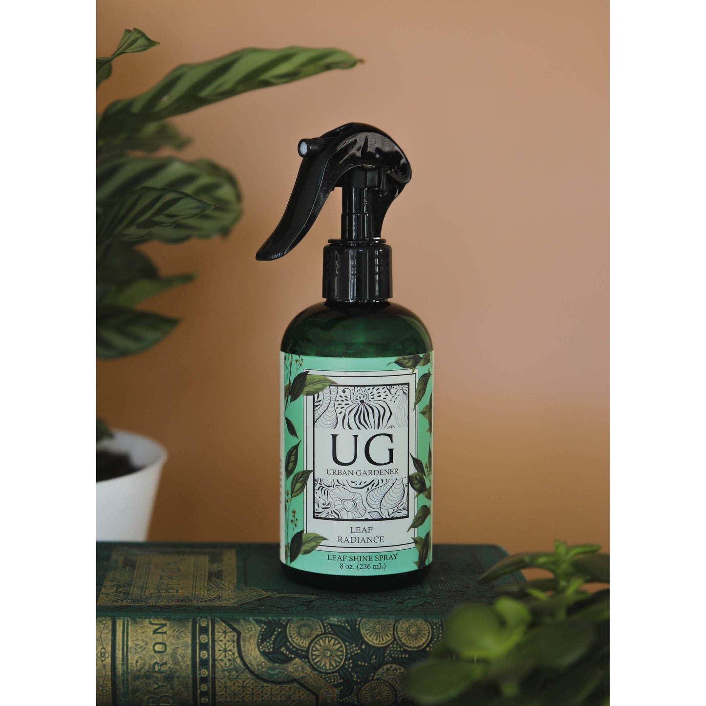 Leaf Radiance - Natural Houseplant Cleaner & Shine