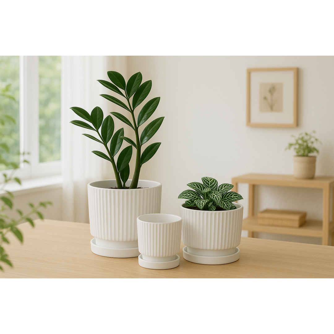 Ribbed White Ceramic Planters with Saucers