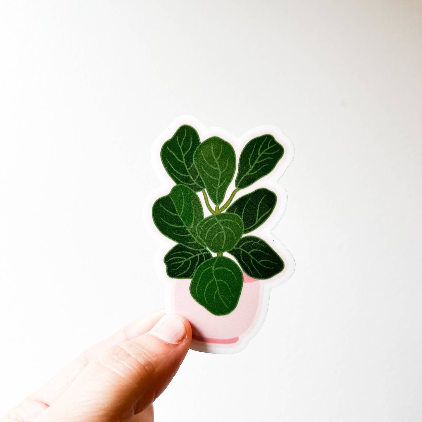 Fiddle Leaf Fig Plant Sticker