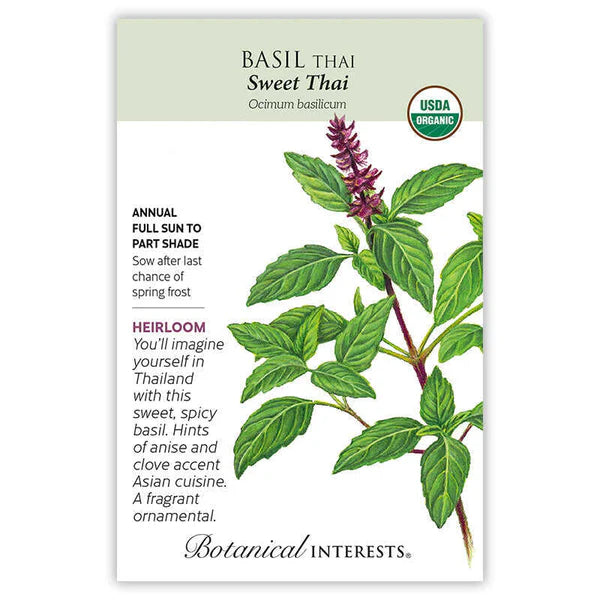 Basil seeds, "Sweet Thai"