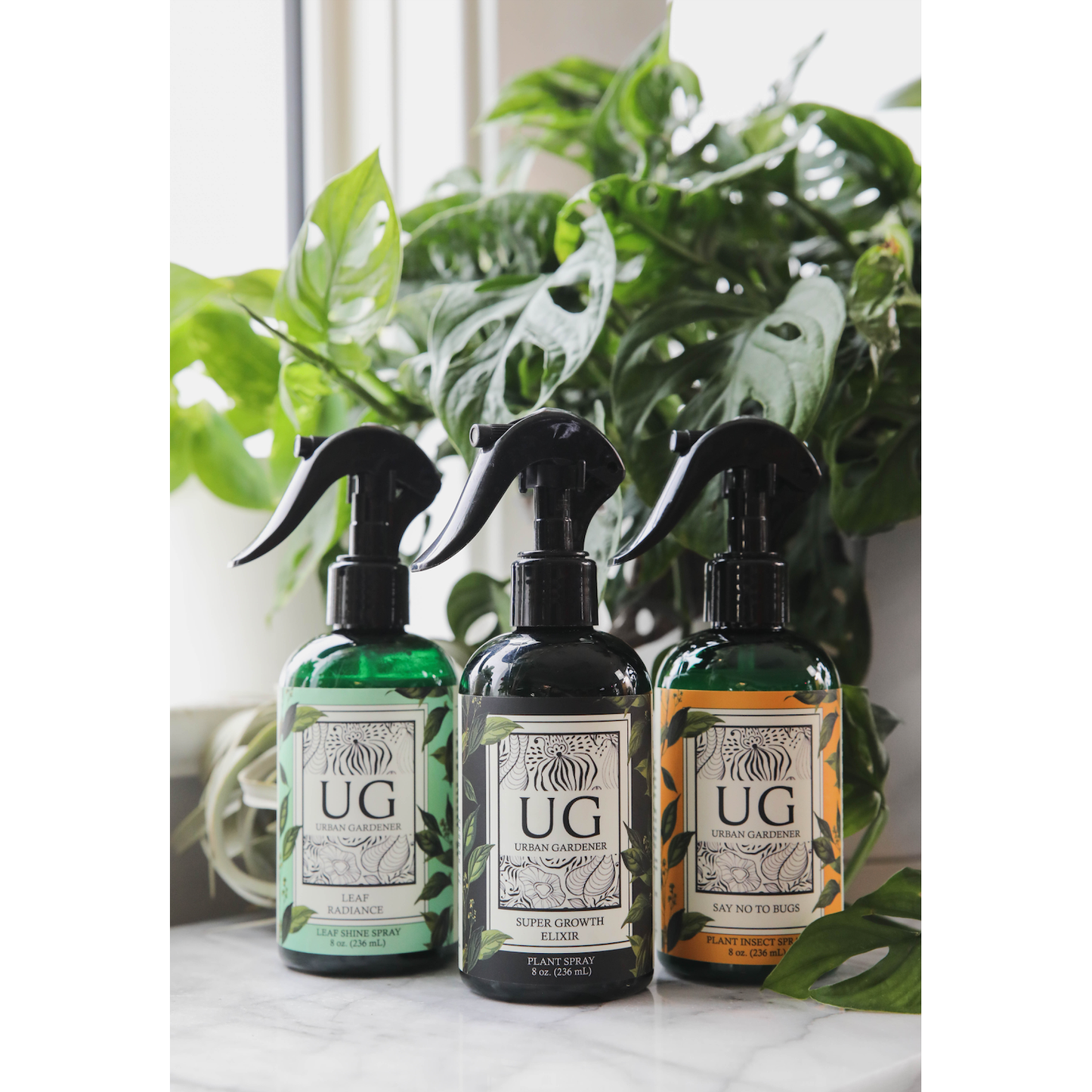 Leaf Radiance - Natural Houseplant Cleaner & Shine