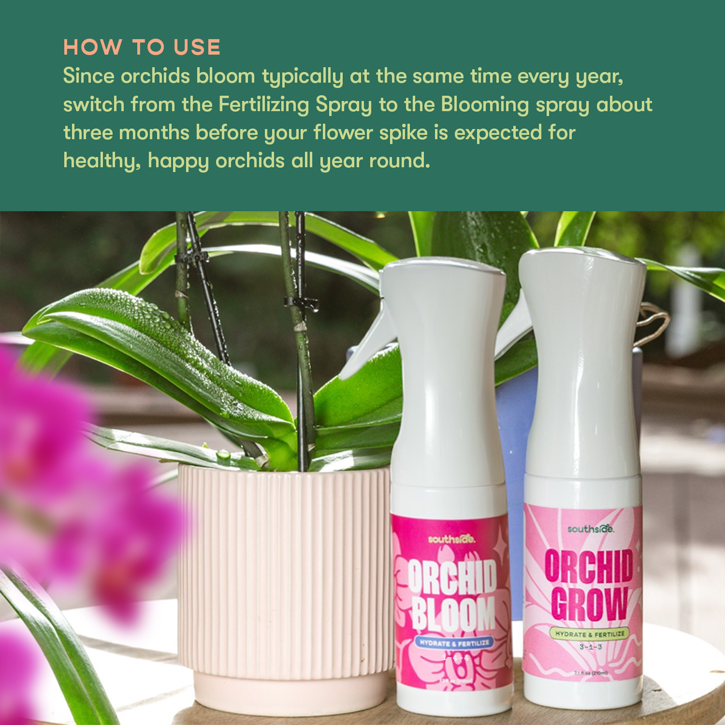 Orchid Grow and Bloom Sprays
