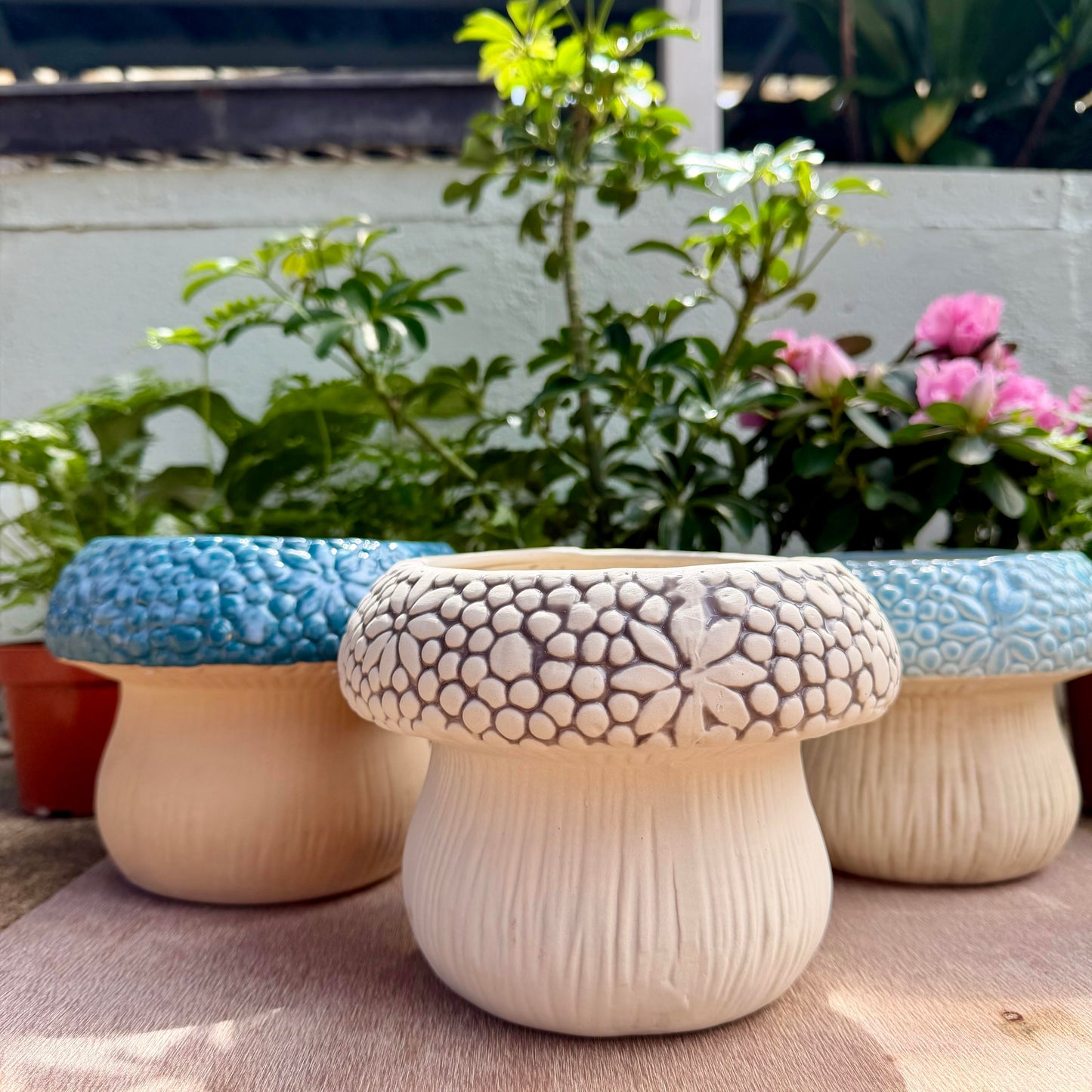 7 " Mushroom Planter