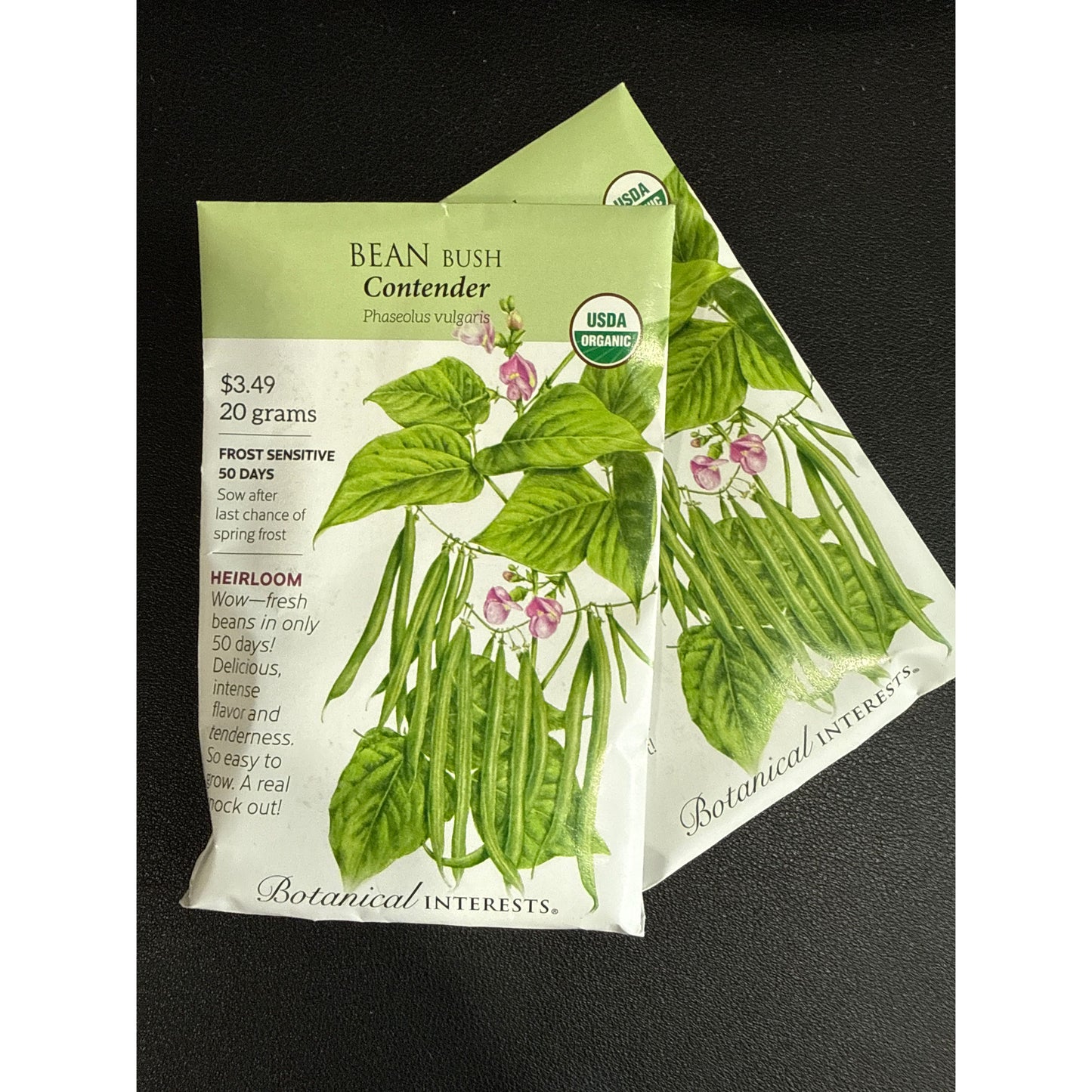 Bean Bush seeds, "Contender Green"