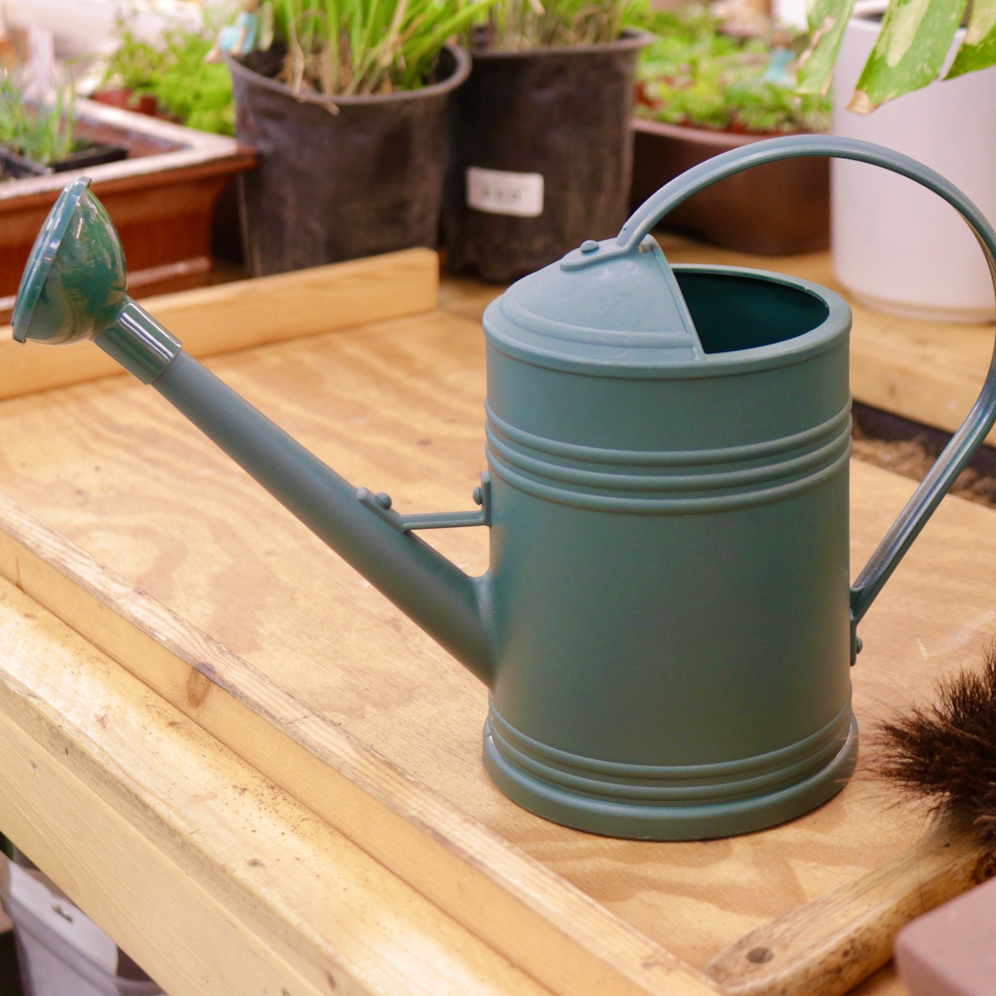 Watering Can with Shower Spout