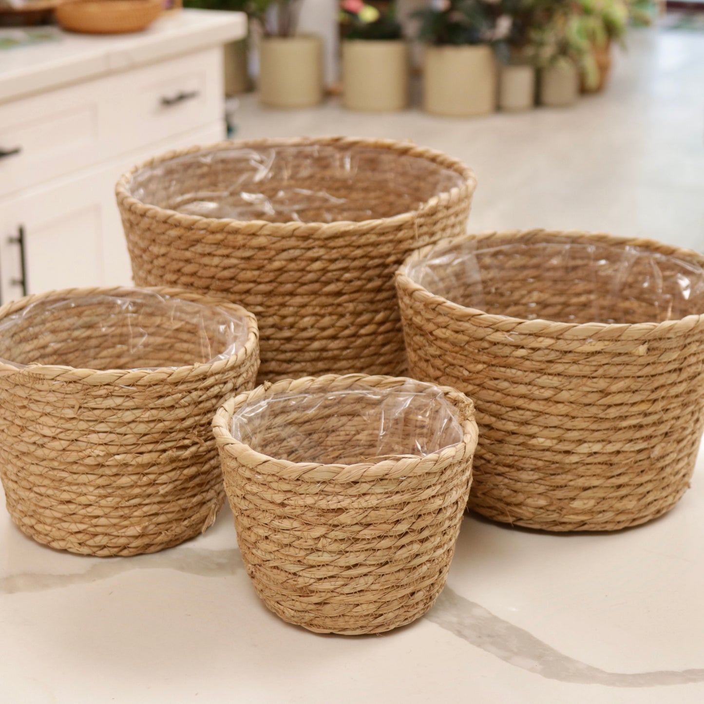 Woven Seagrass Planter Basket with Liner