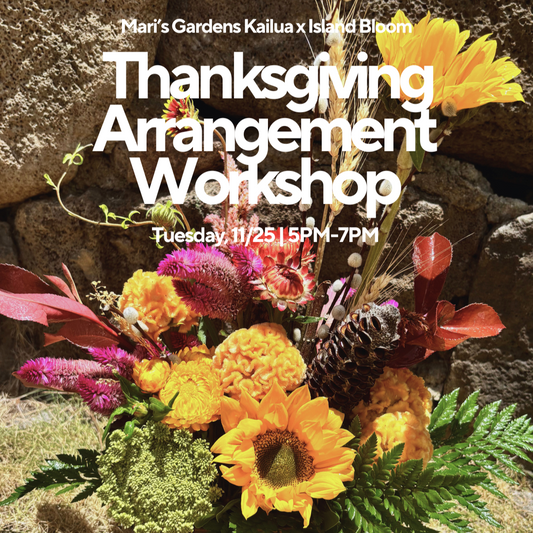 11/25 Tropical Thanksgiving Arrangements (Kailua)