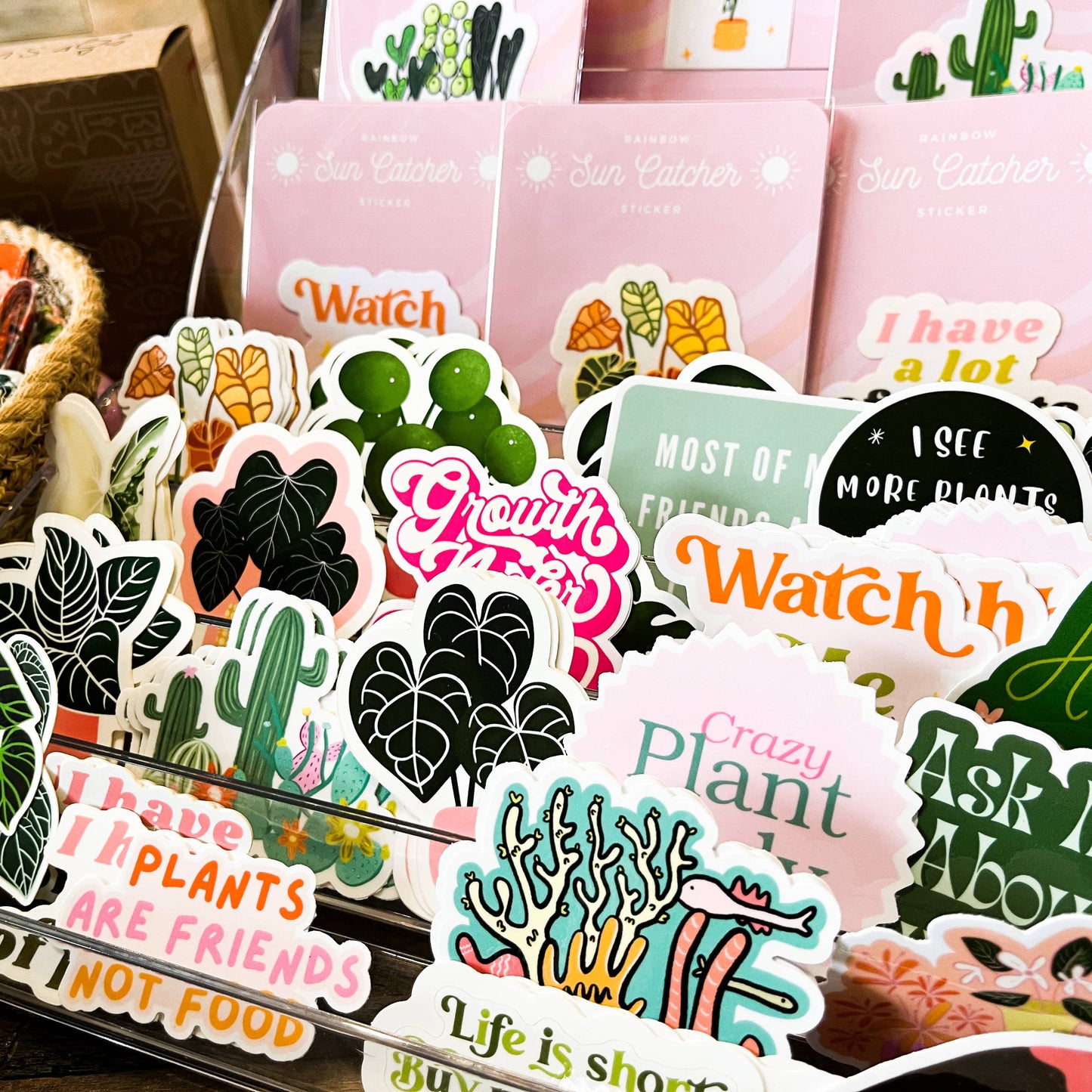 Fiddle Leaf Fig Plant Sticker