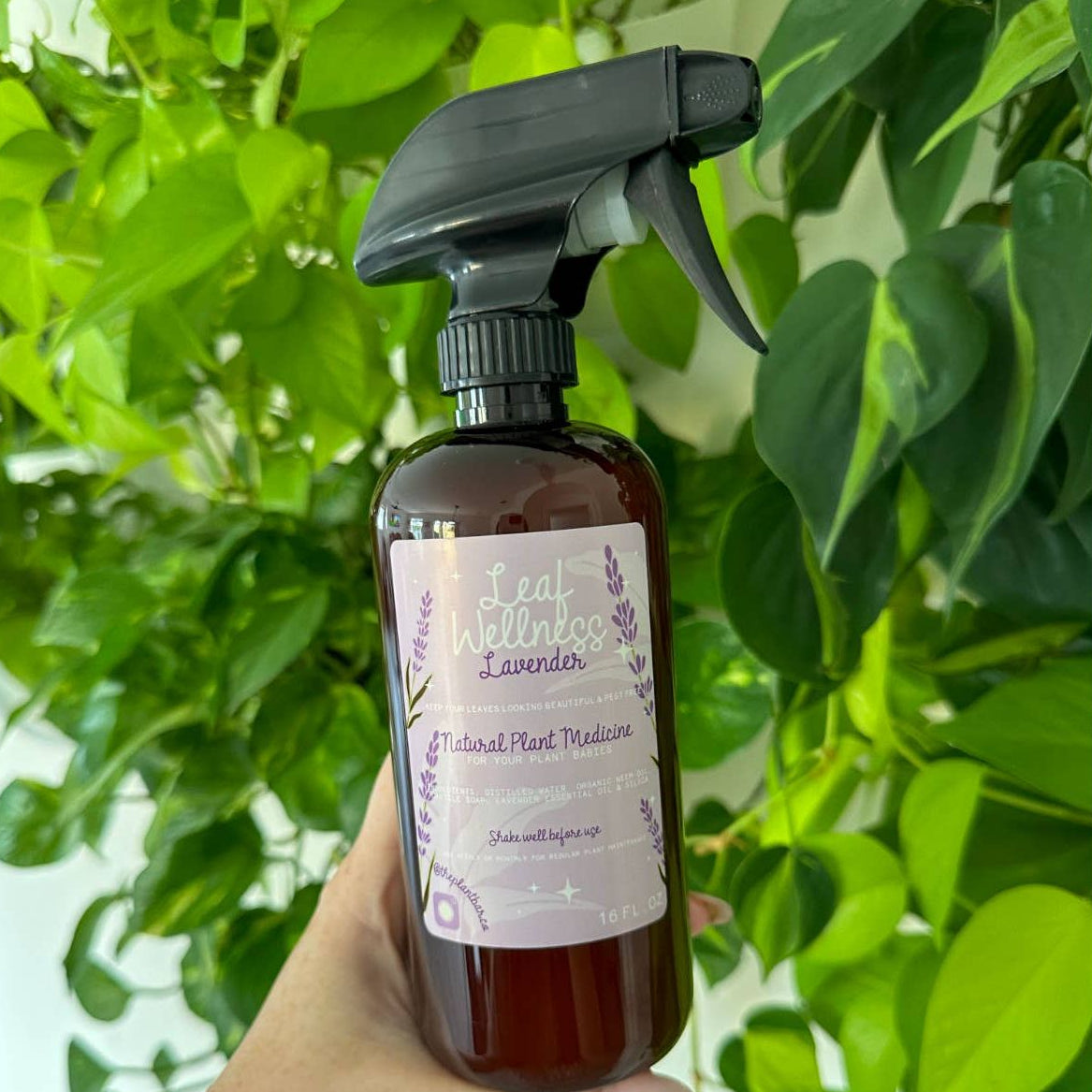 Leaf Wellness Lavender - 16oz