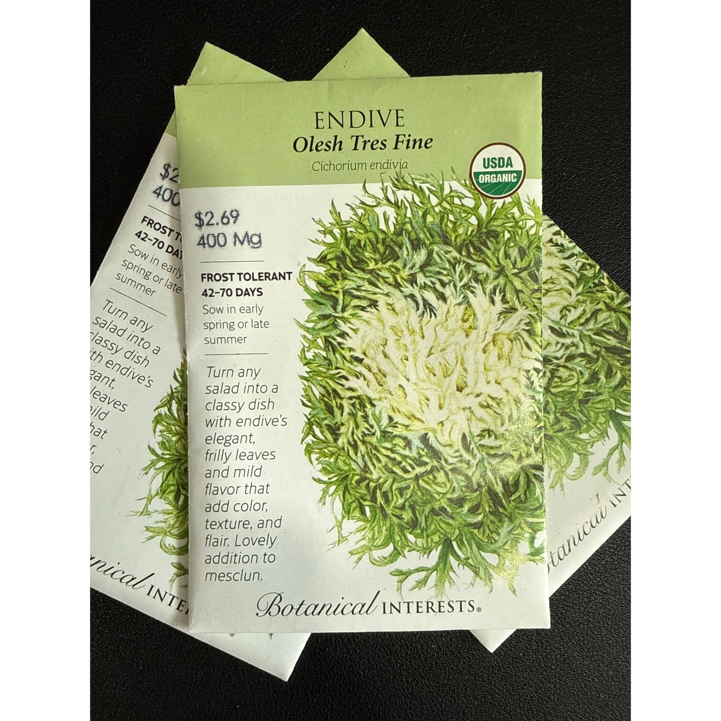 Endive Olesh seeds, "Tres Fine"