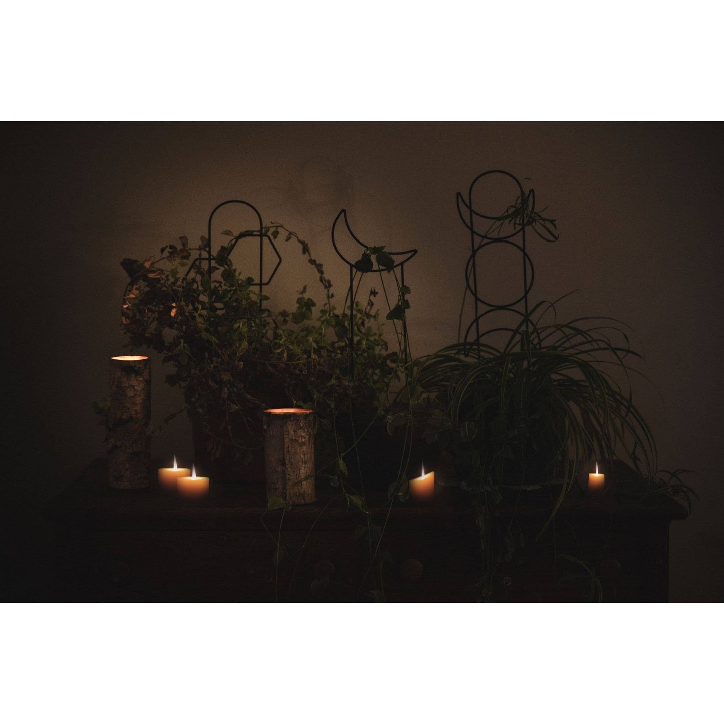 Metal Crescent Moon Trellis