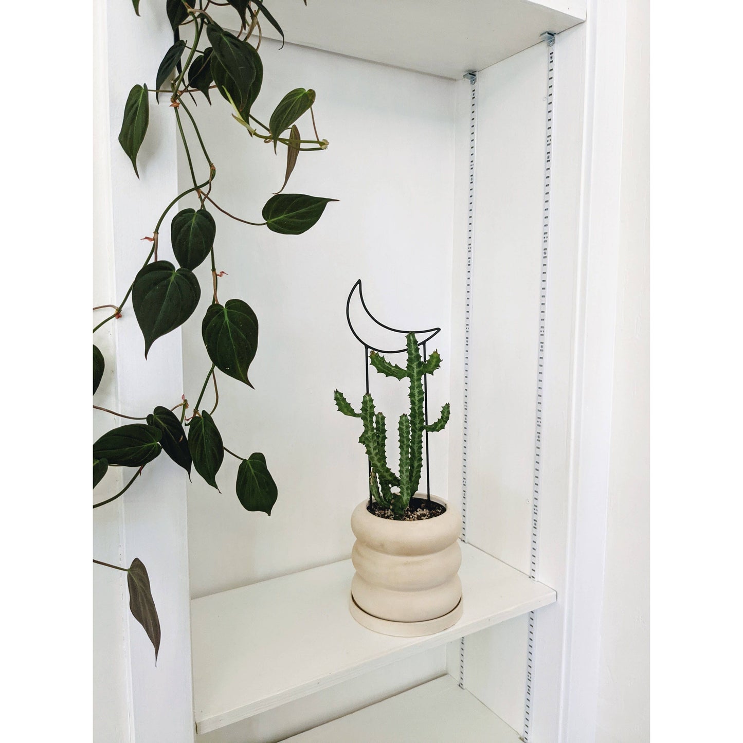 Metal Crescent Moon Trellis