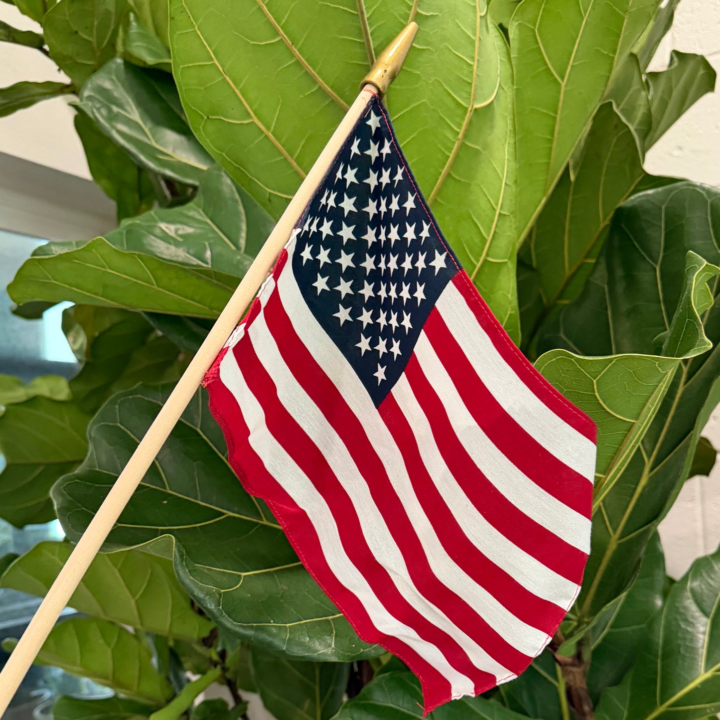 American Flag