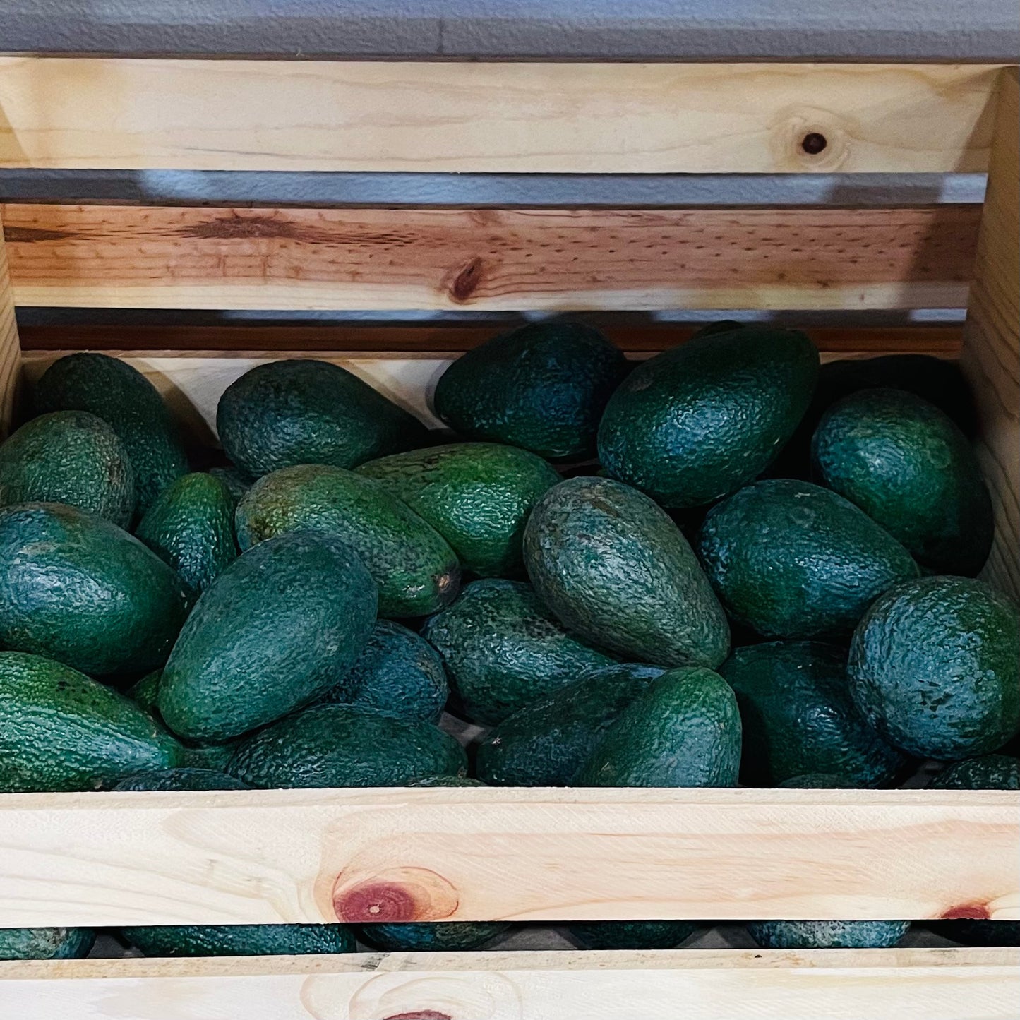 Avocados by the Pound