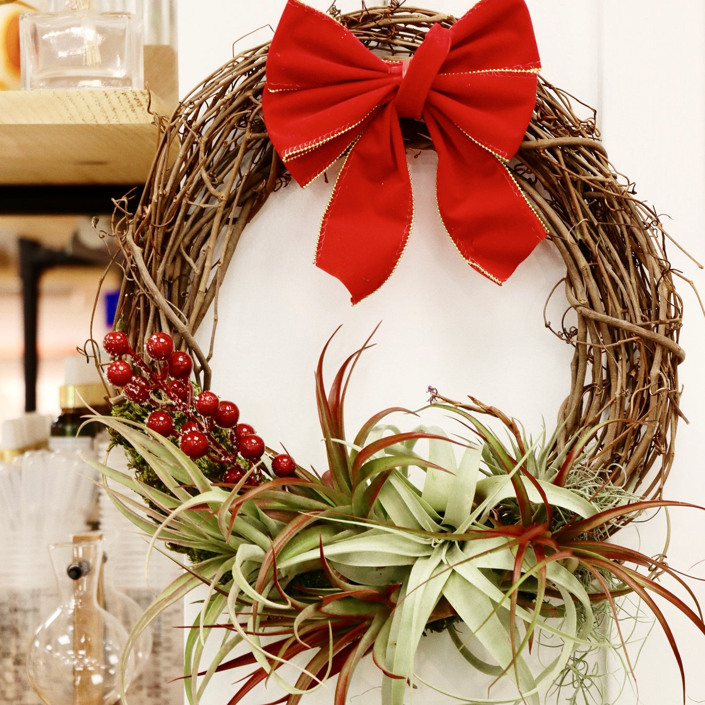 Living Wreath Workshop