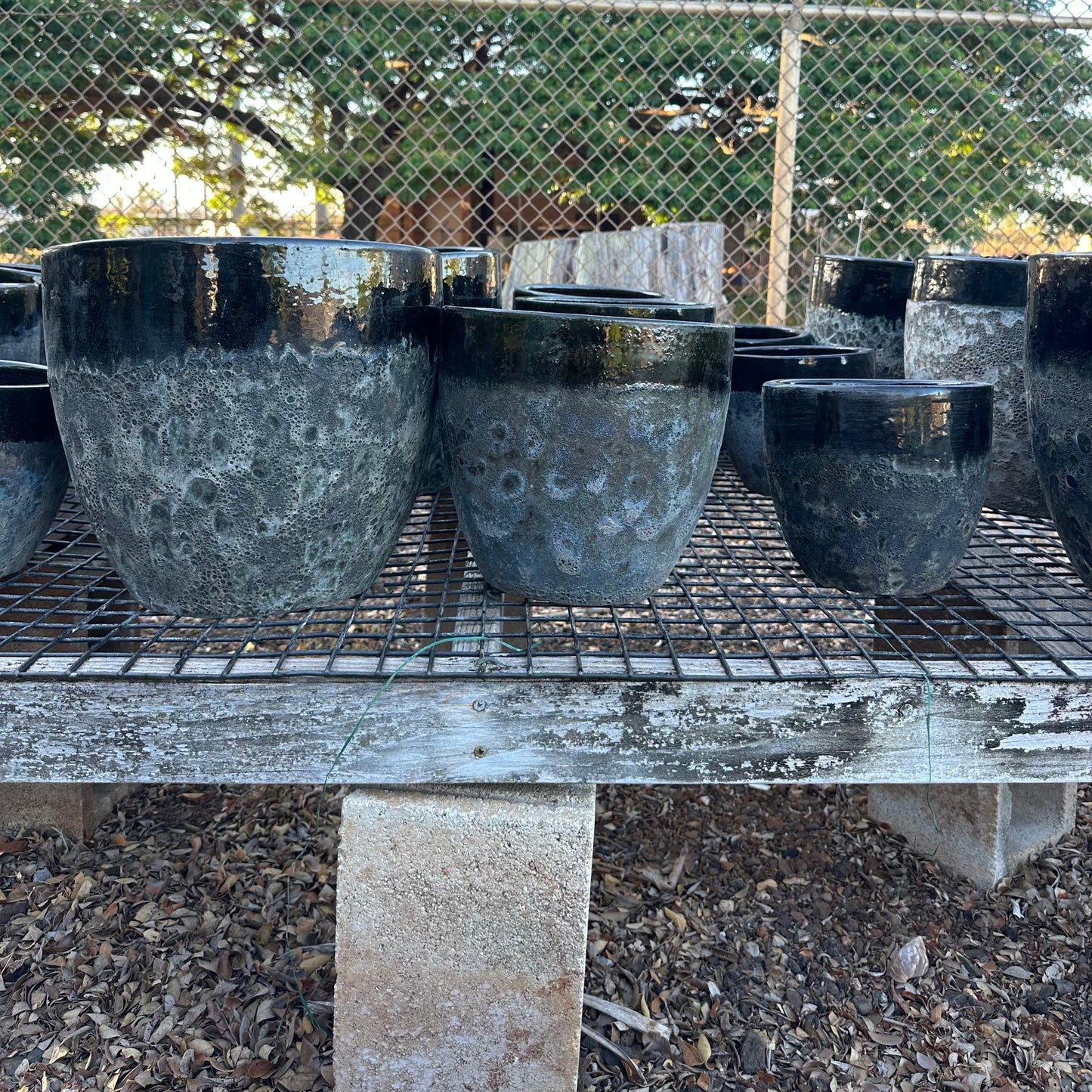 Black Coral Ceramic Planter