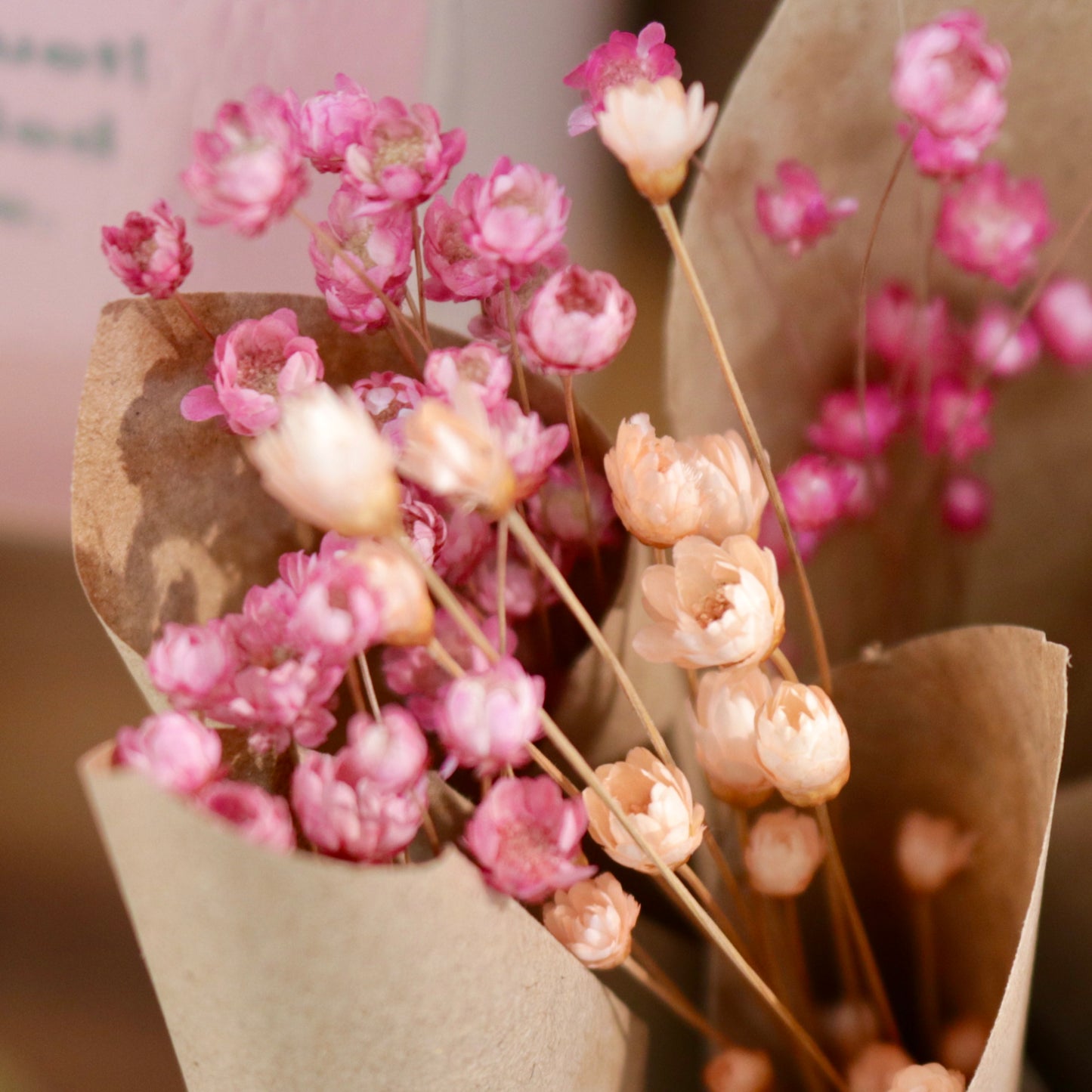 MUG Dried Flower Mini Bundles