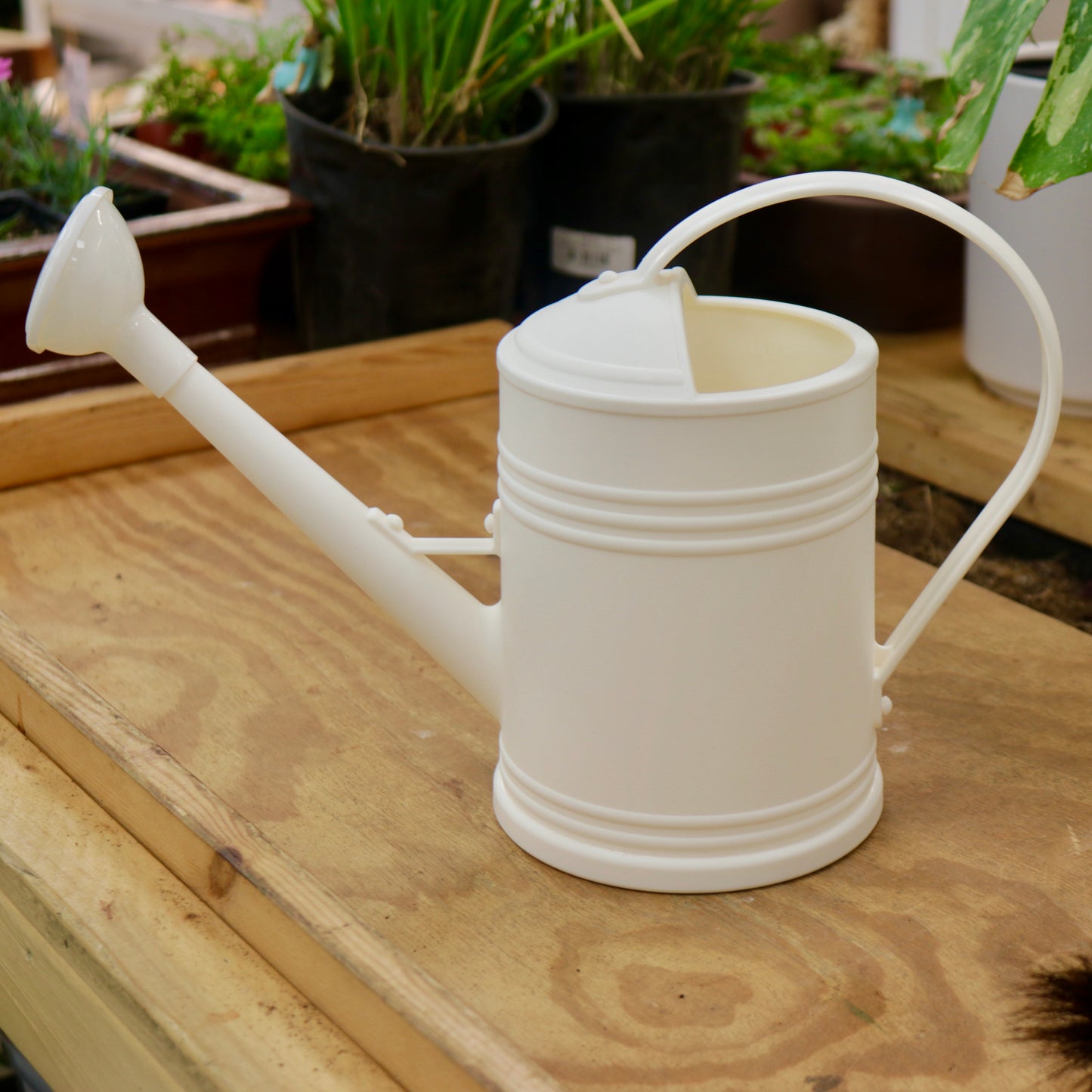 Watering Can with Shower Spout