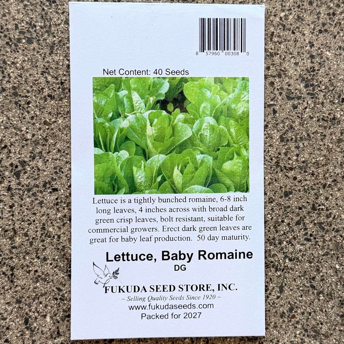 Lettuce, Baby Romaine, seeds