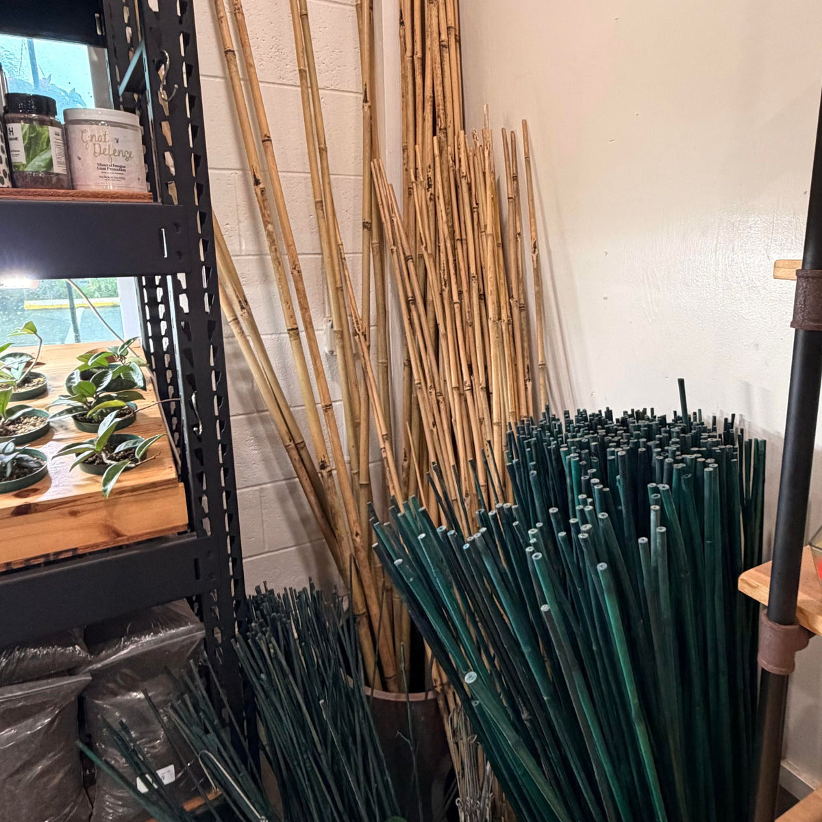 Bamboo Stakes