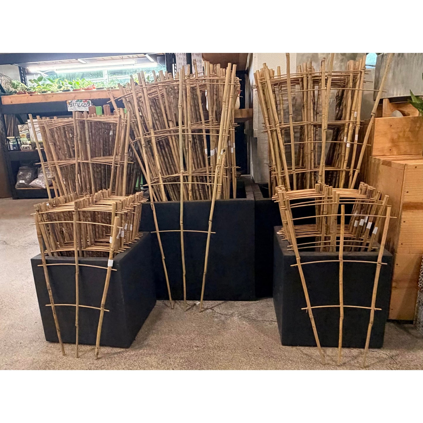 Bamboo Fan Trellis