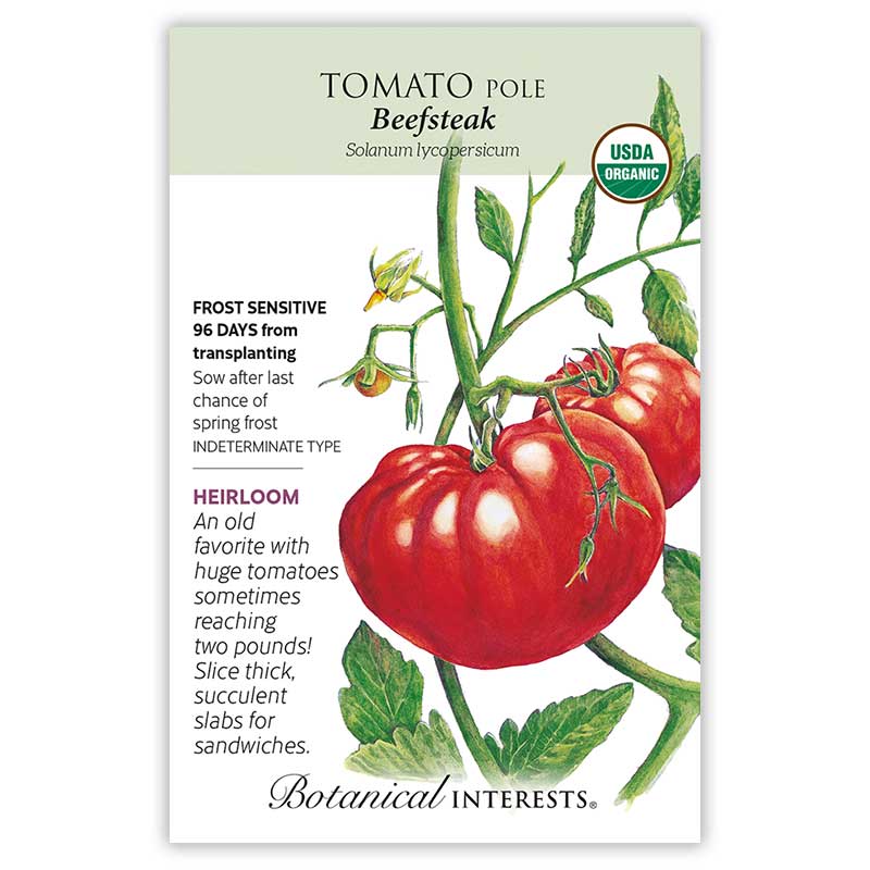 Tomato Pole seeds 'Beefsteak'