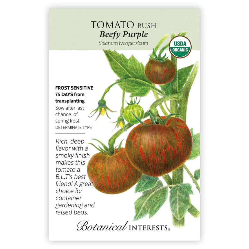Tomato Bush seeds 'Beefy Purple'