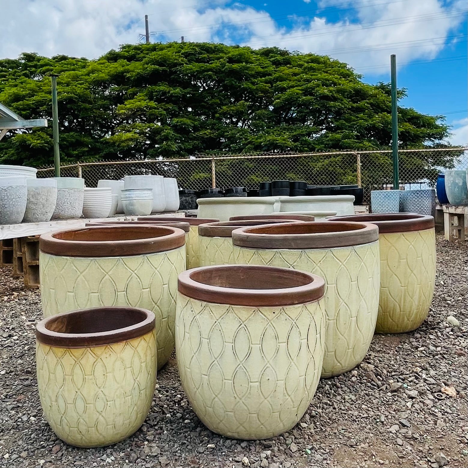 beige planter pot Beige Braided Ceramic Planter