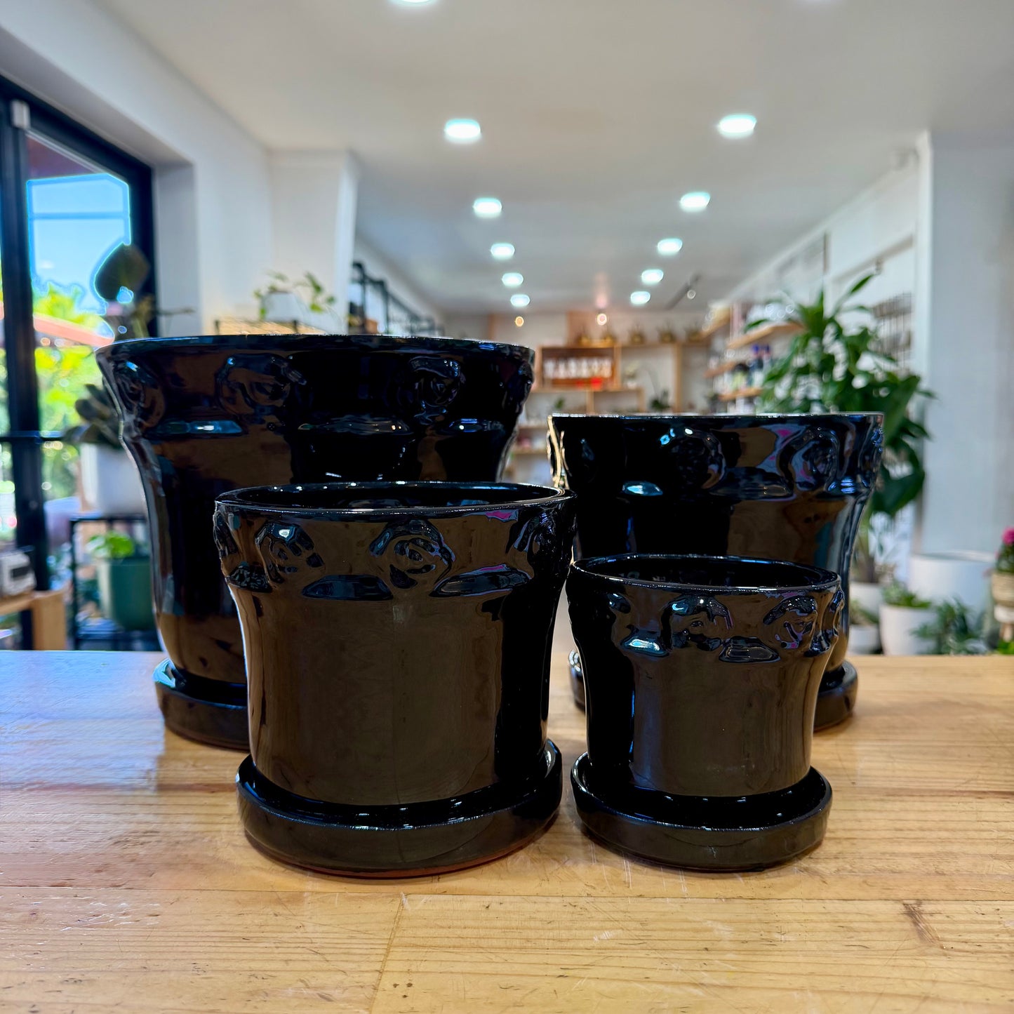 Black Rose Indoor Planter