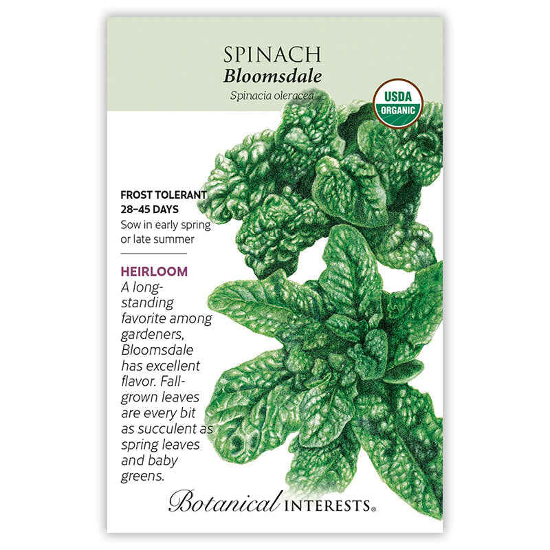 Spinach seeds 'Bloomsdale'