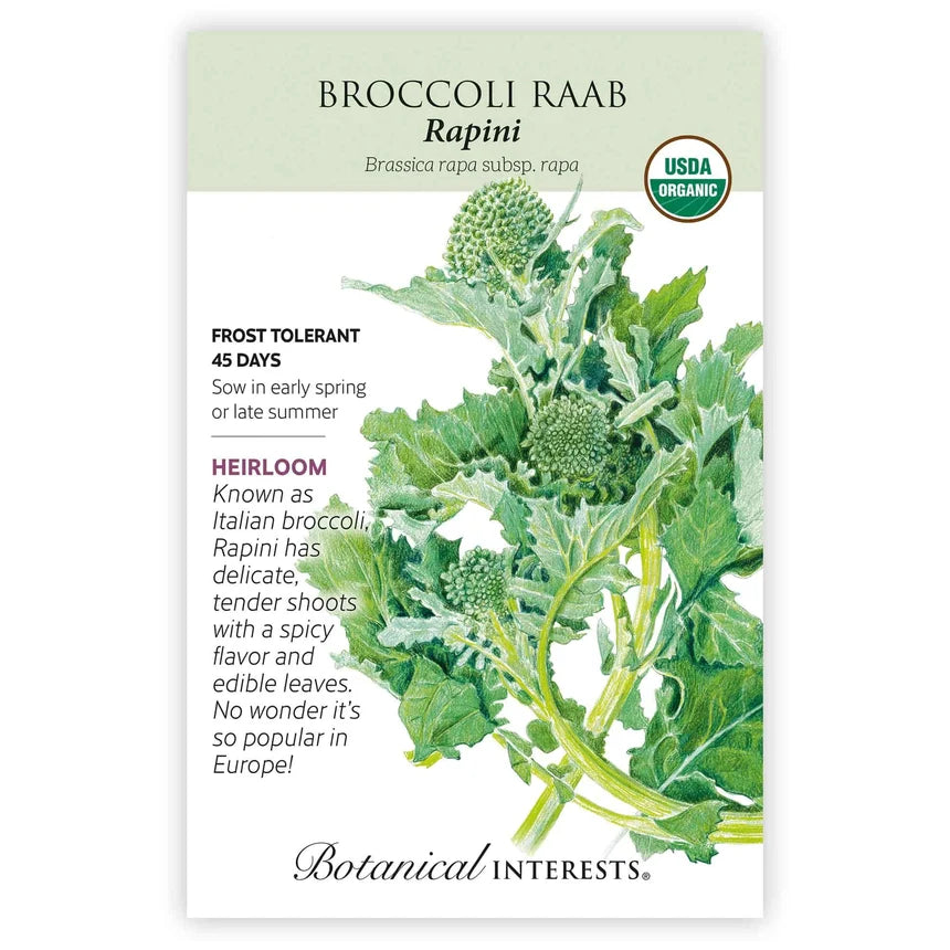 Broccoli Raab seeds ʻRapiniʻ