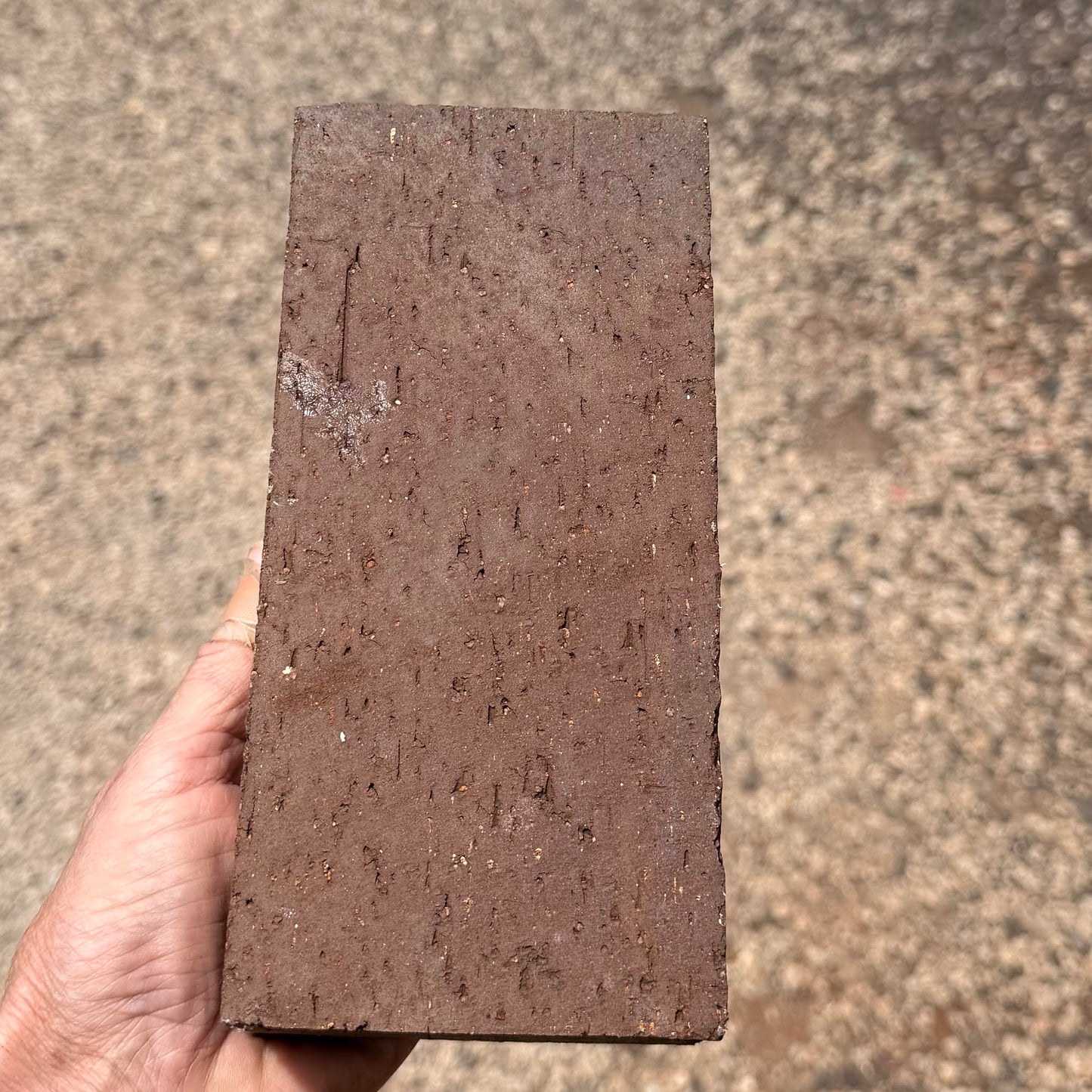 Paver Stepping Stones