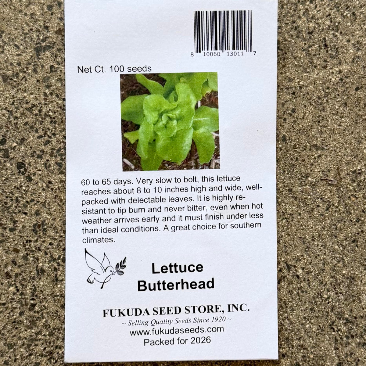 Lettuce 'Butterhead'