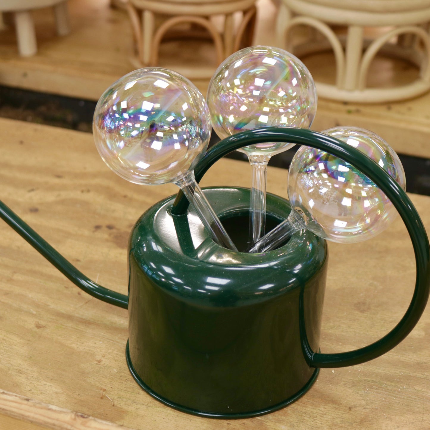 Glass Watering Spike
