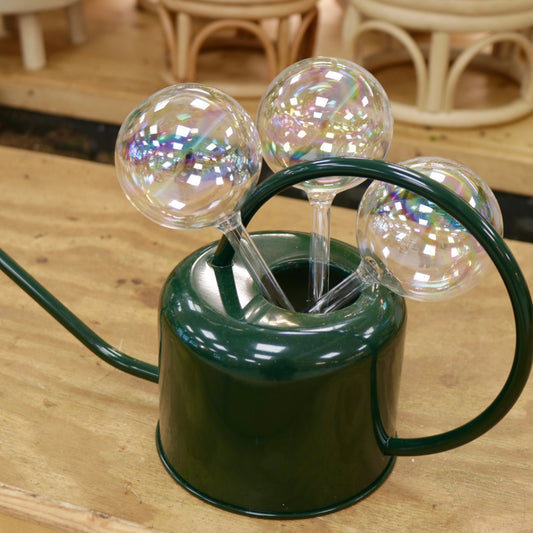 Glass Watering Spike
