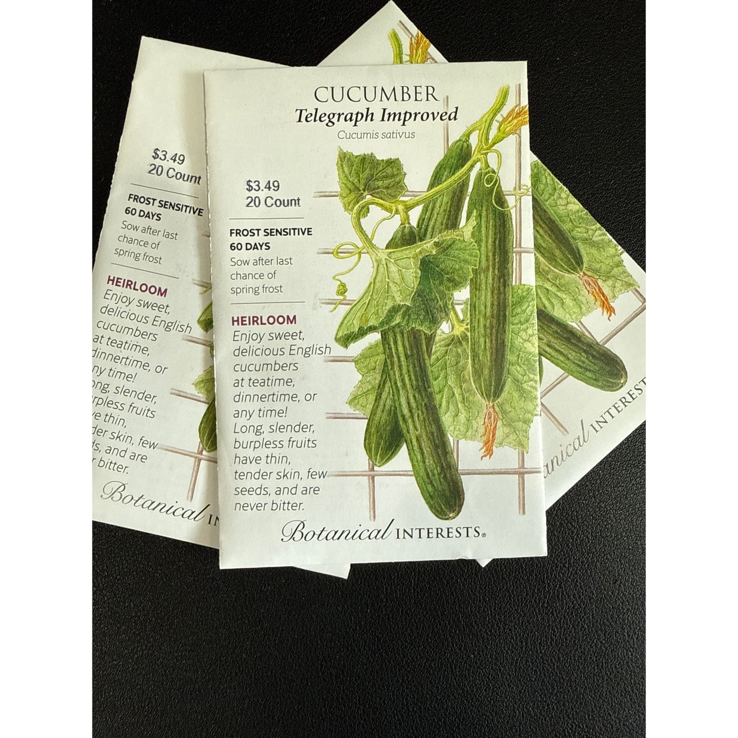 Cucumber seeds, "Telegraph Improved"