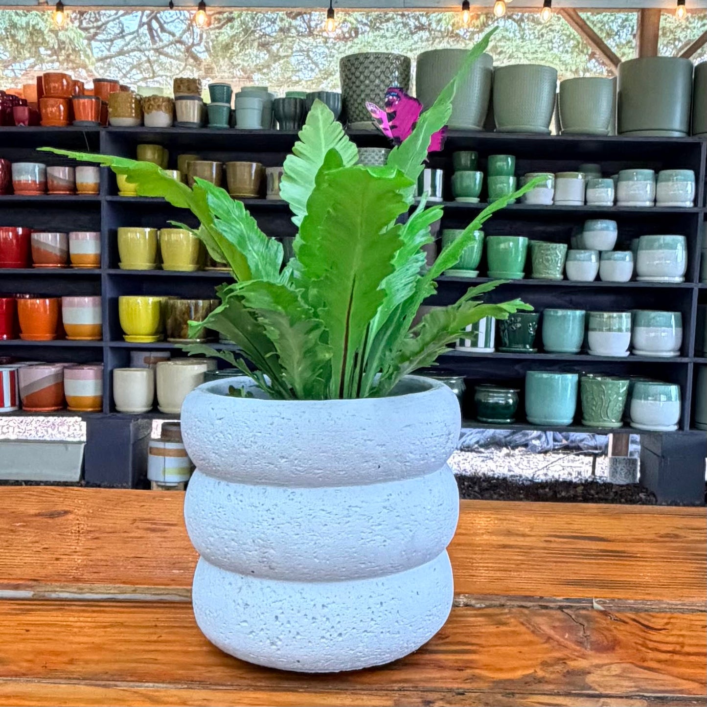 Cement Ripple Planter