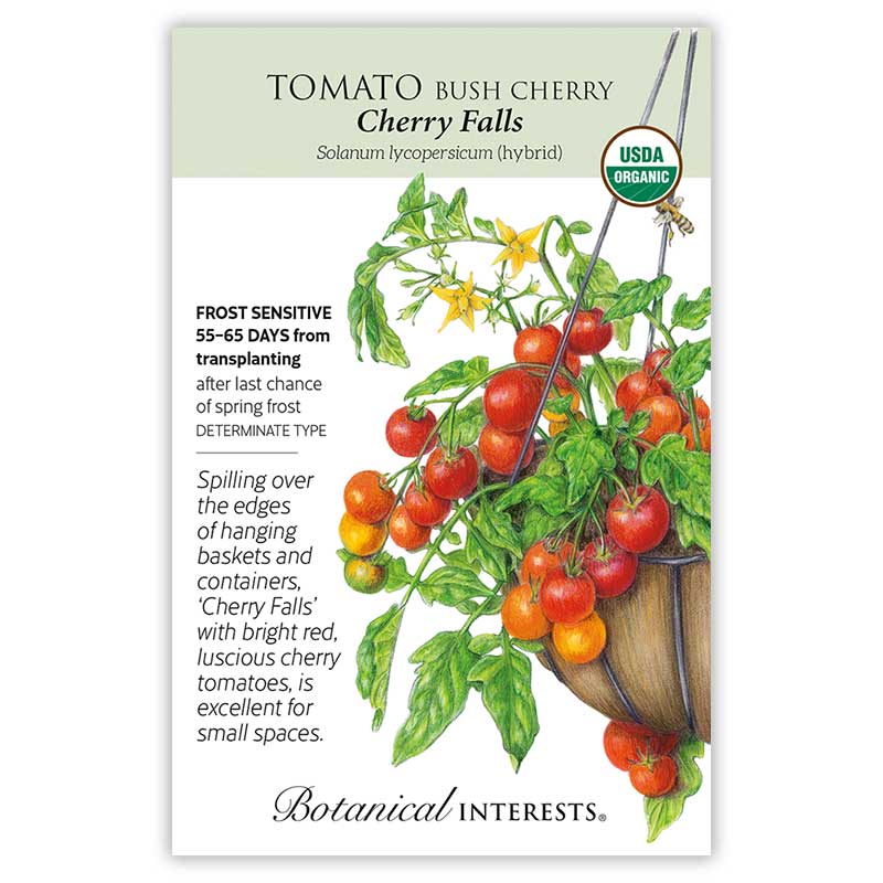 Tomato Cherry seeds 'Cherry Falls'