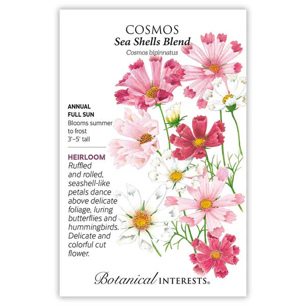 Cosmos seeds, "Sea Shells Blend"