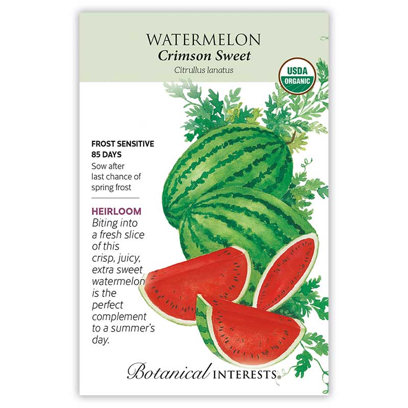Watermelon seeds 'Crimson Sweet'