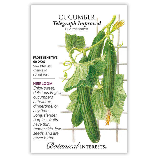 Cucumber seeds, "English Telegraph"