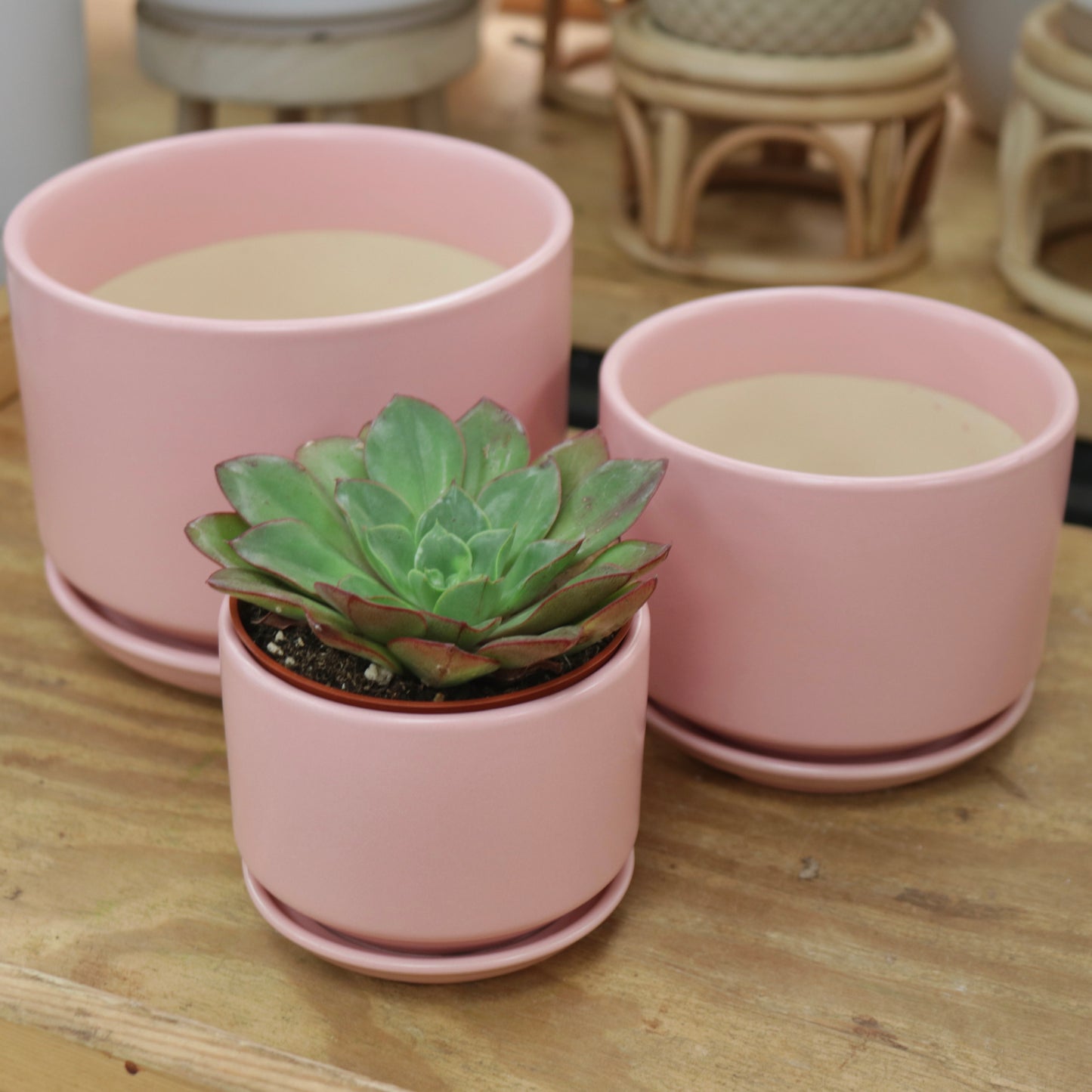 April Ceramic Planter