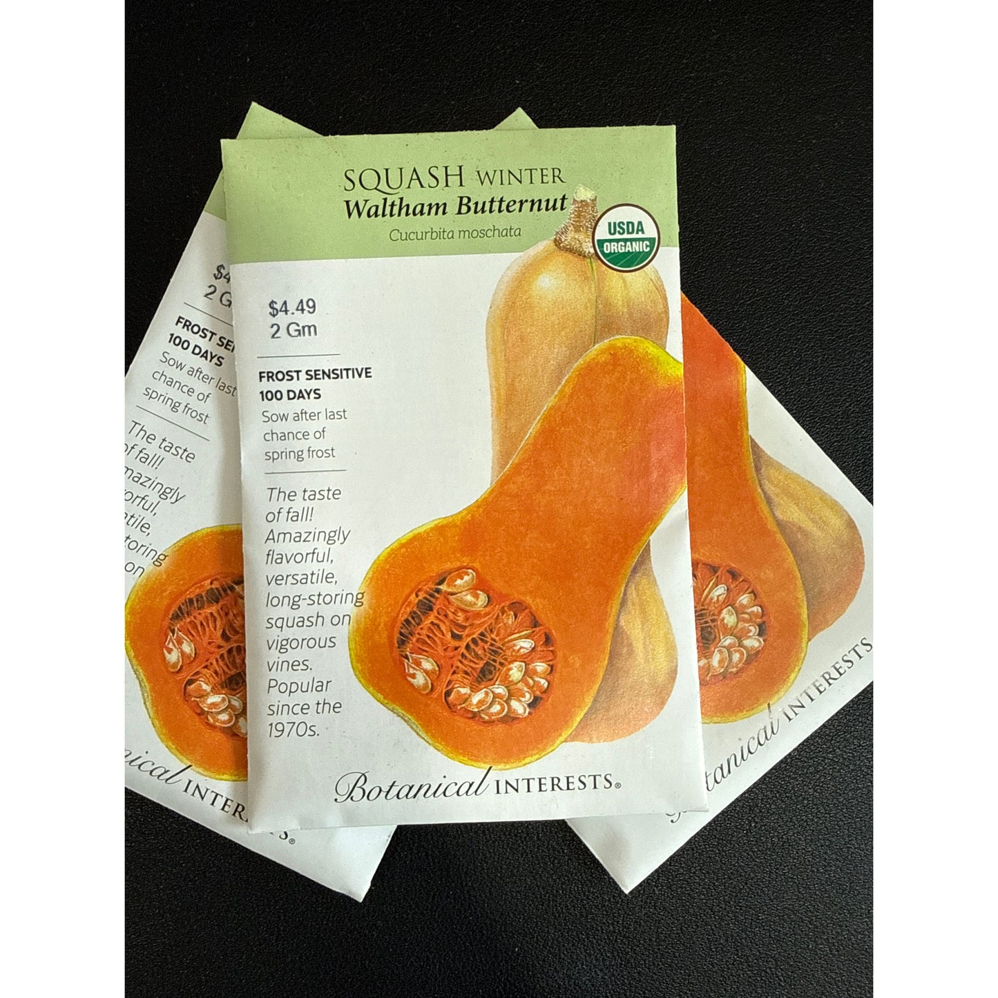 Squash Winter seeds, "Waltham Butternut"