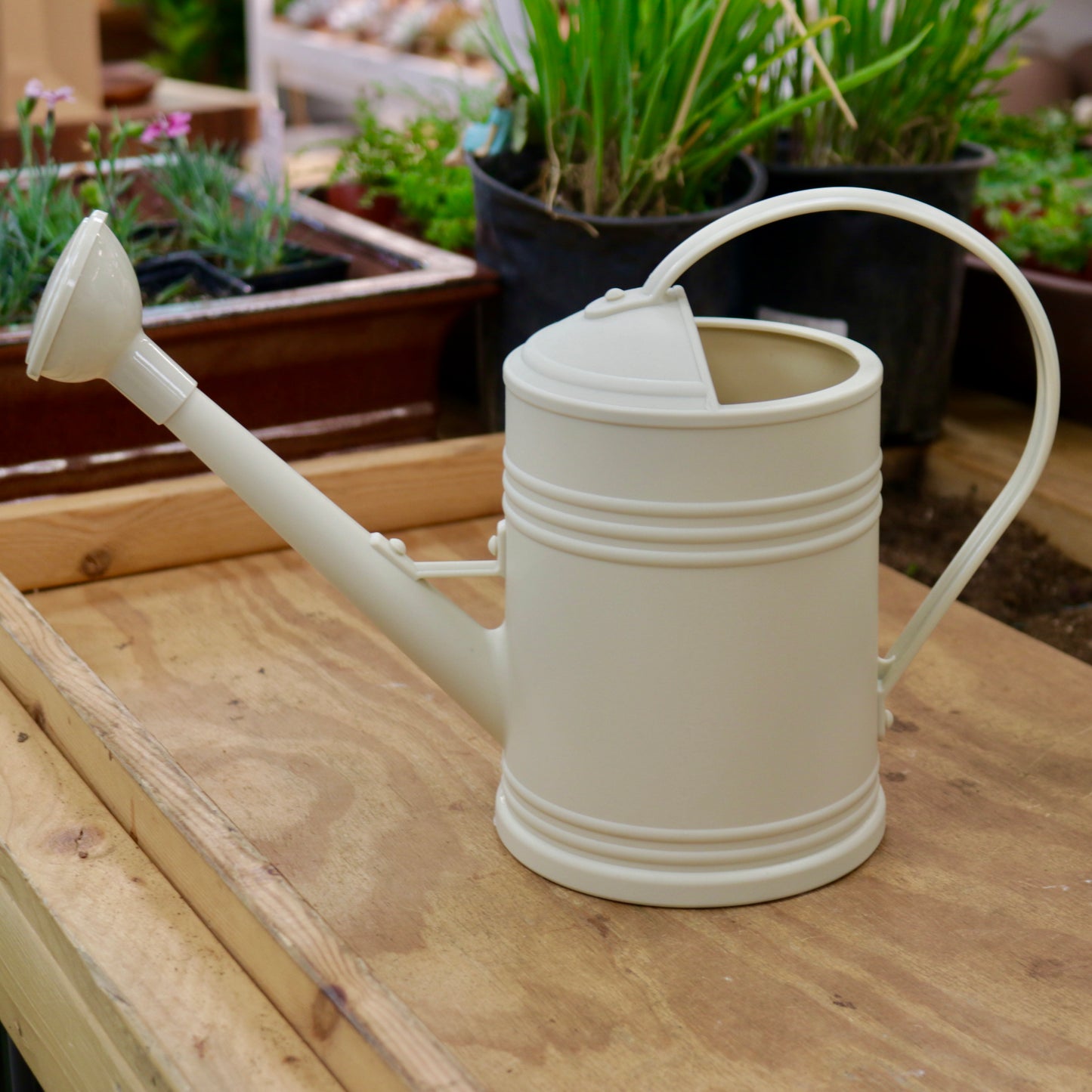 Watering Can with Shower Spout