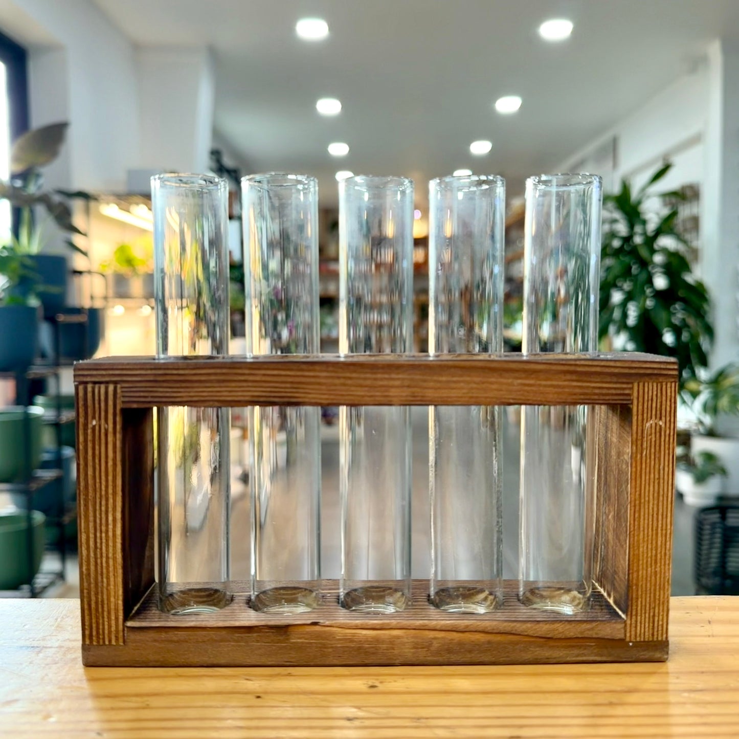Propagation - Stand with Wooden Frame