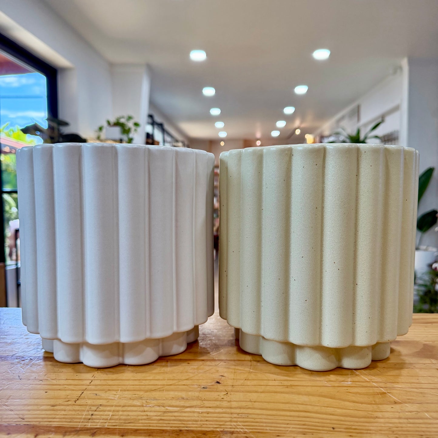 Daviston Planter