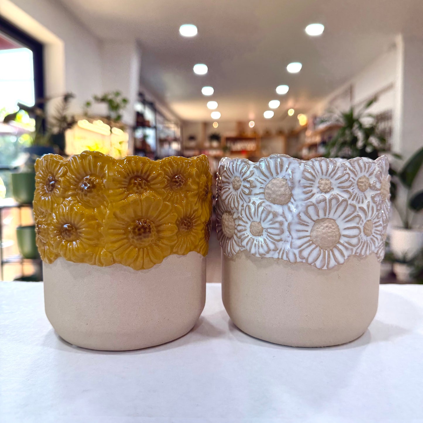 Delightful Planter