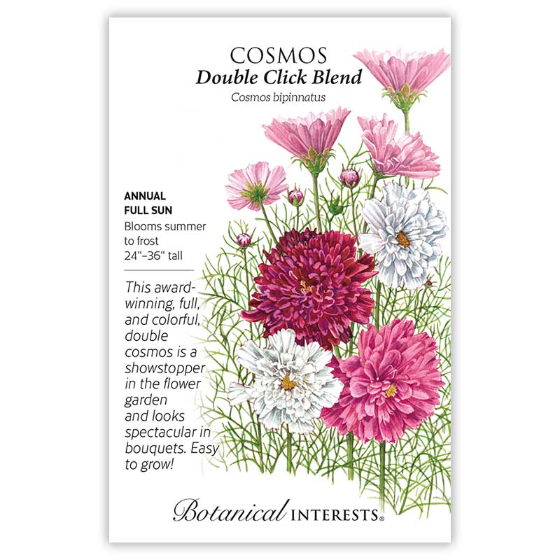 Double Click Blend Cosmos